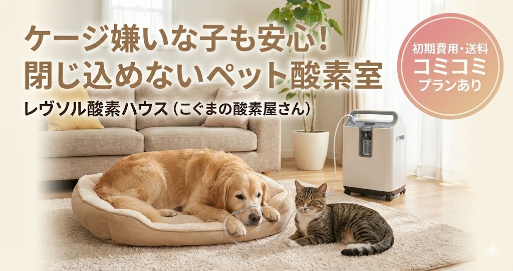 レヴソル酸素ハウスの評判・料金・使い方｜酸素室を嫌がる子に選ばれる理由