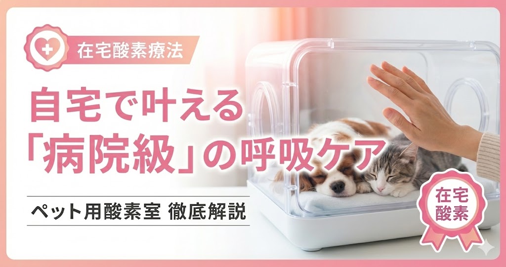 ペット用酸素室（在宅酸素療法）の解説記事アイキャッチ。自宅で病院と同等の呼吸ケアができることを訴求。
