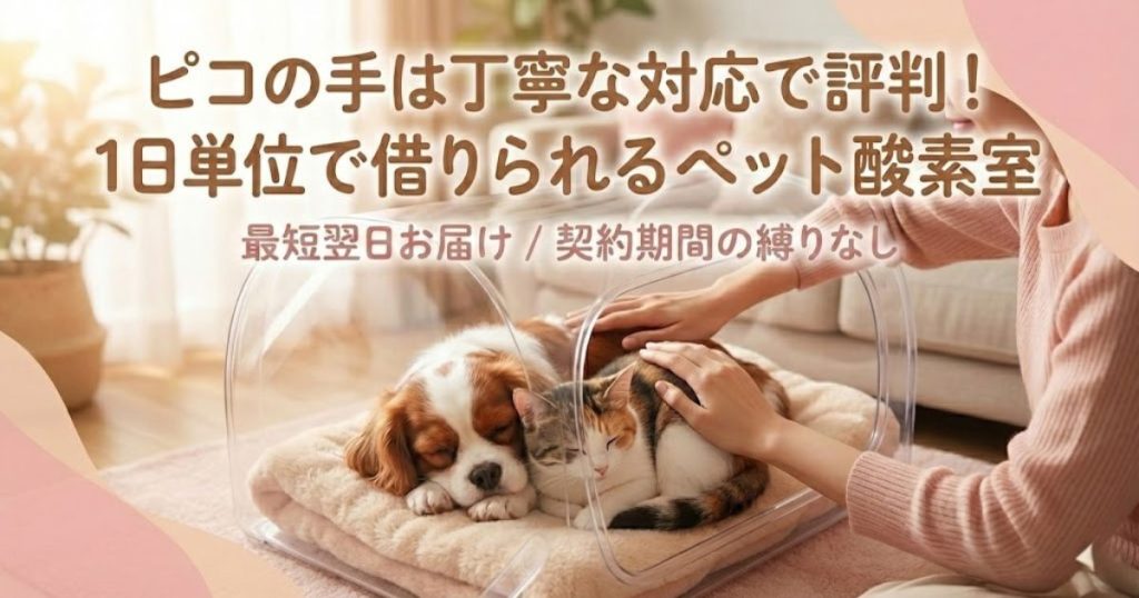 ピコの手の評判は？料金・使い方と他社比較で分かる選ぶべき人