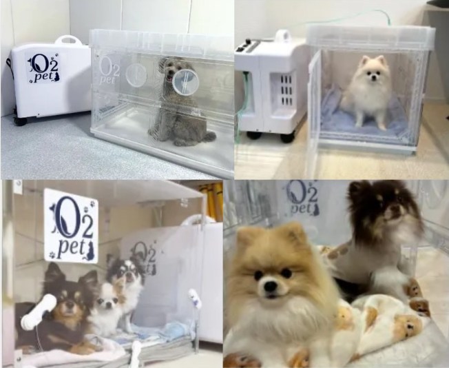 O2PETの使用イメージ