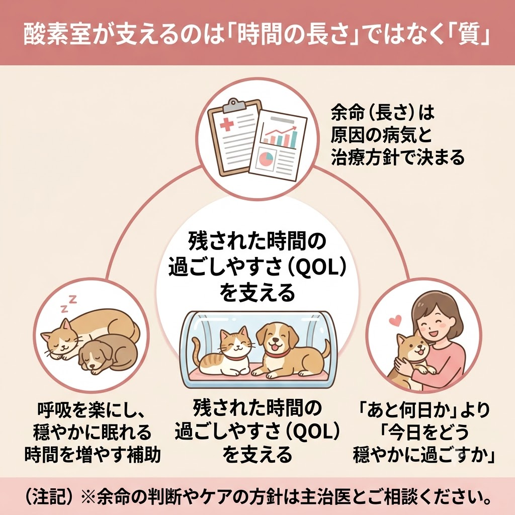 酸素室と余命の関係を図解。余命の長さを延ばすものではなく、呼吸を楽にし、残された時間の生活の質(QOL)を支える役割であることを説明。