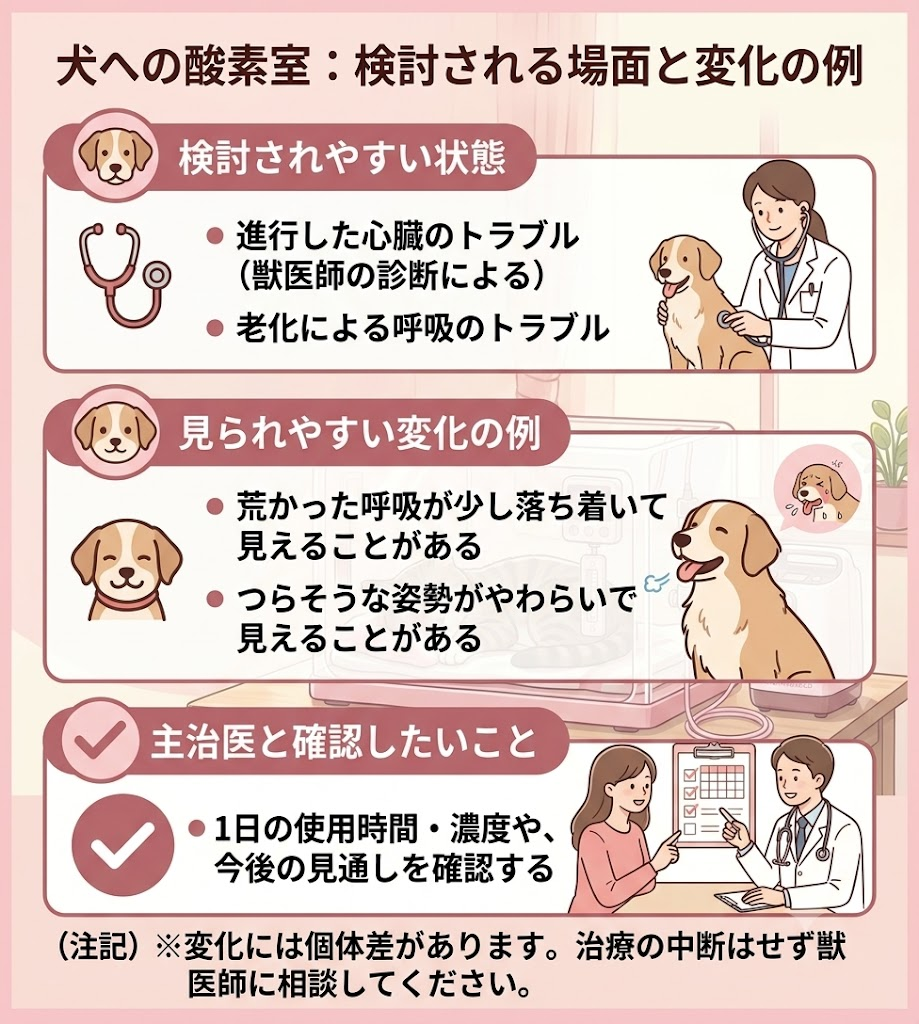 犬への酸素室の効果と使われ方を図解。心臓や呼吸のトラブル時に検討され、呼吸や姿勢が落ち着くなどの変化の例と、獣医師への確認事項を整理。
